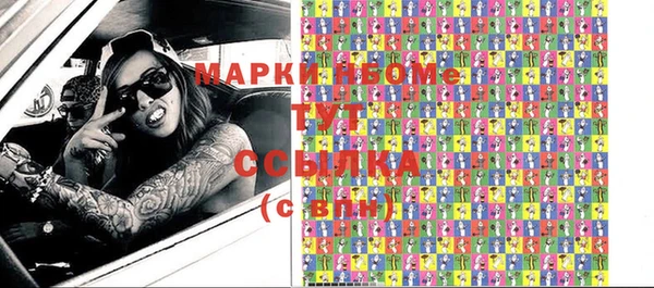 индика Богданович
