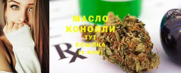 шишки Бородино