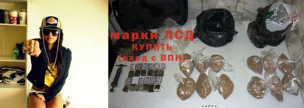 индика Богданович