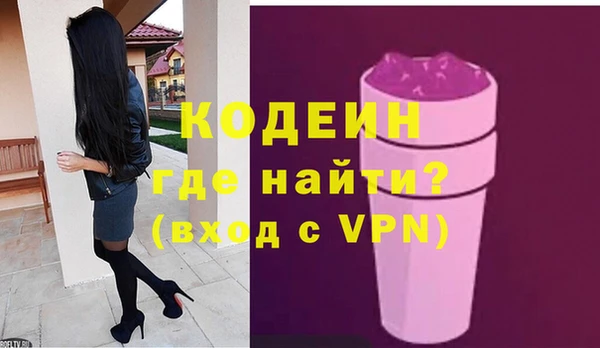индика Богданович