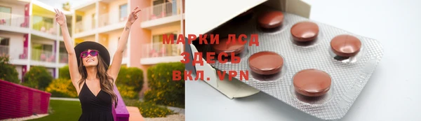 индика Богданович