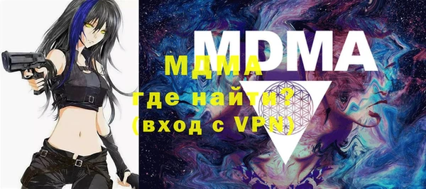 шишки Бородино