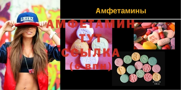 шишки Бородино